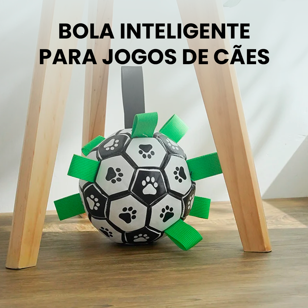 Bola Inteligente para Jogos de Cães